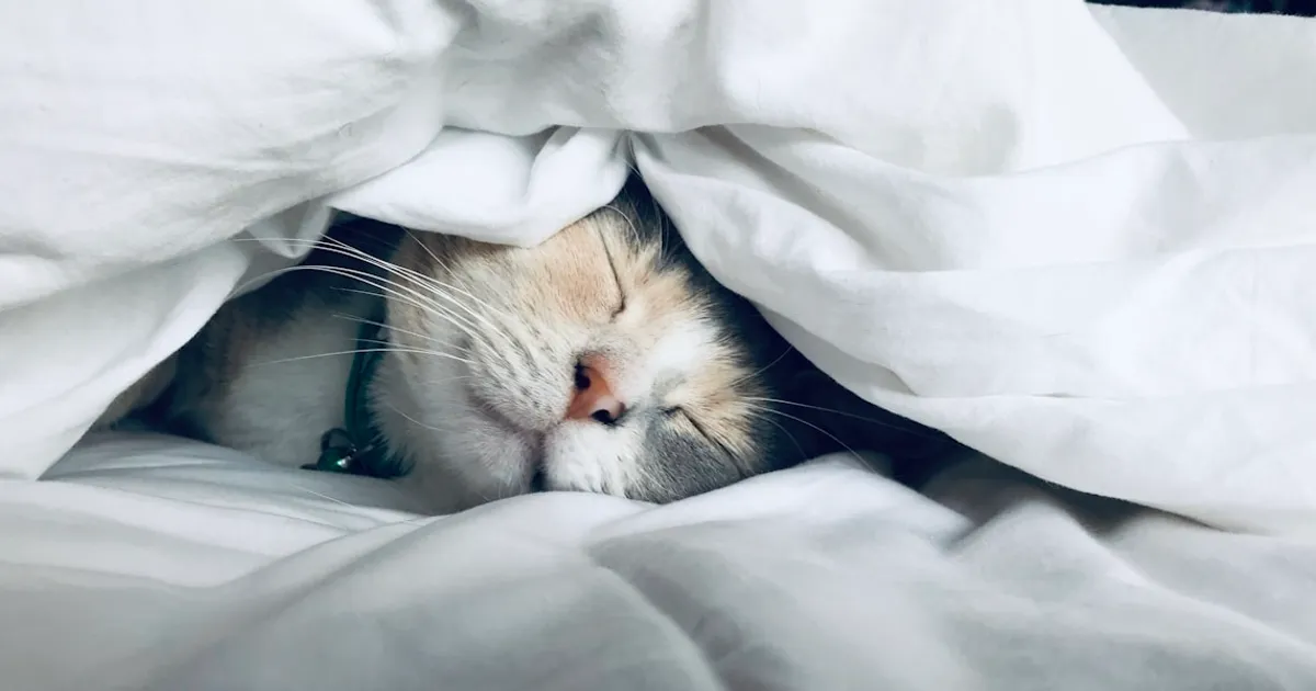 Illustration évocatrice d'un réveil nocturne lié à la paralysie du sommeil