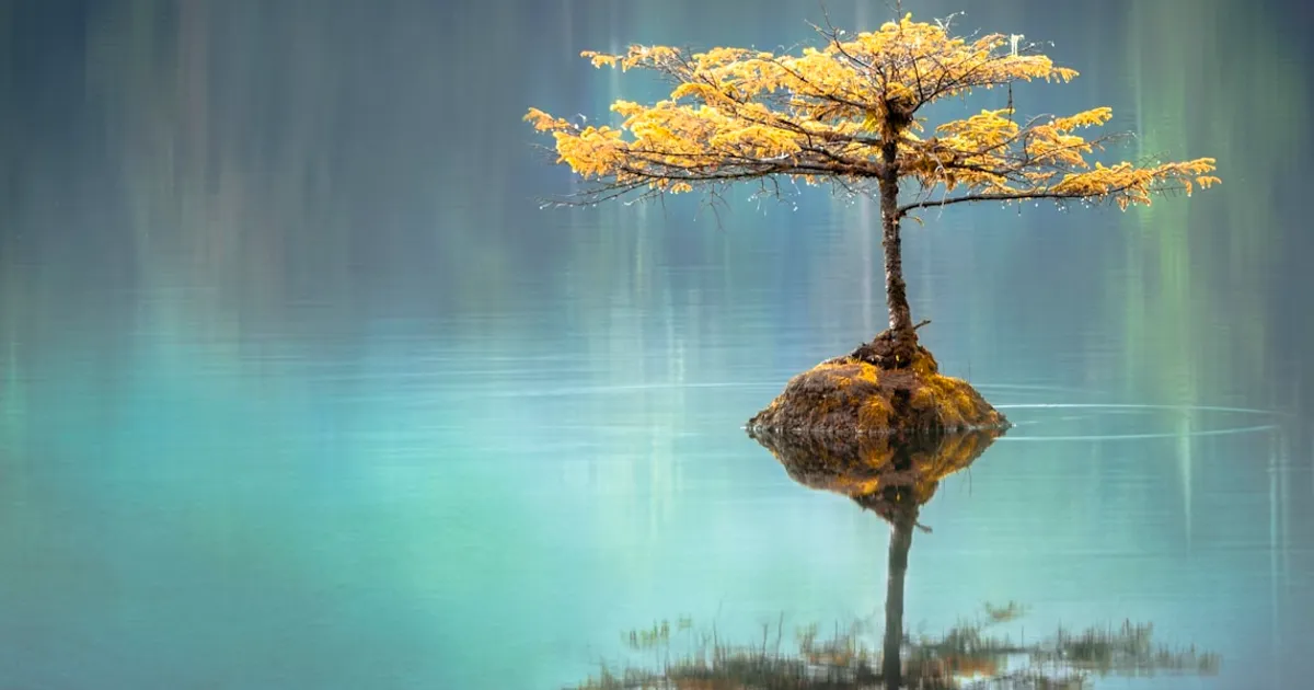 Surreal and vibrant landscape showing the power of lucidity