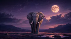 Elephant — dream symbol illustration