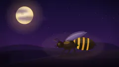 Wasps — dream symbol illustration